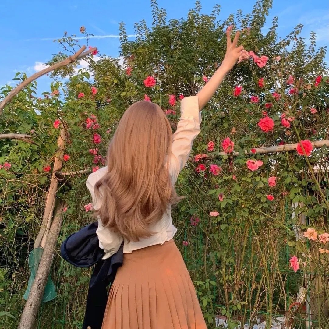 红楼梦第二部:黛玉葬花